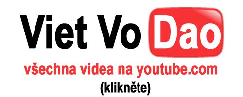 youtube_vvd_logo